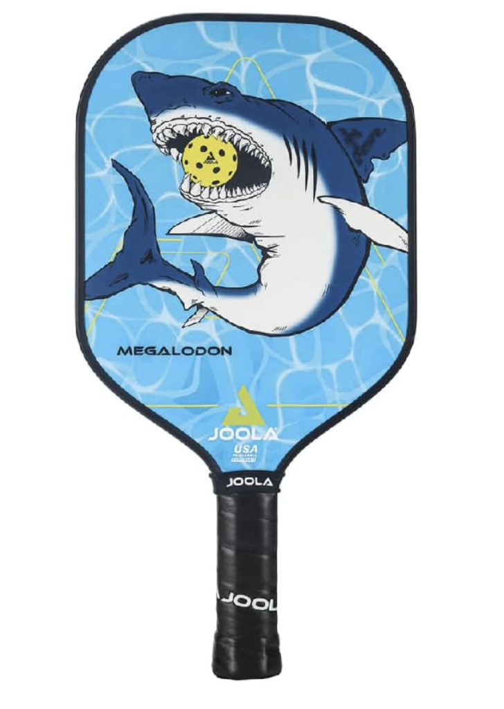 Joola Kids Pickleball Paddle PaddleRanked.com